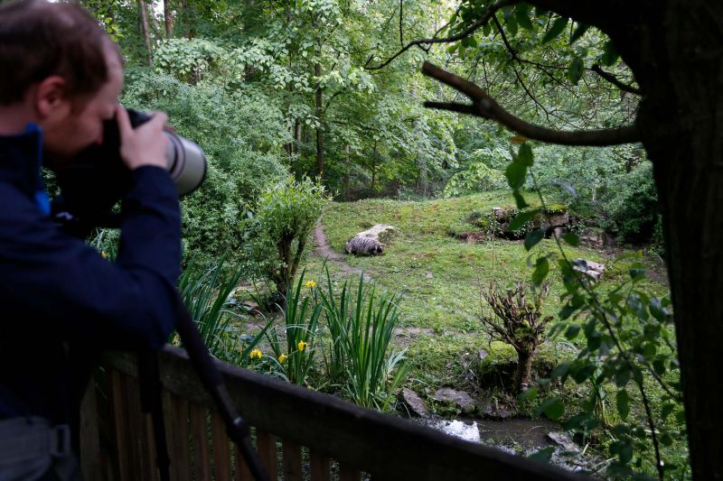 Die Gehege wurden als Freisichtanlagen mit freier Sicht auf die Tiere gestaltet.