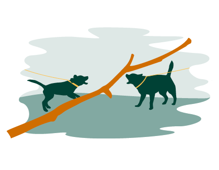 Sorgen Sie für Ruhe.