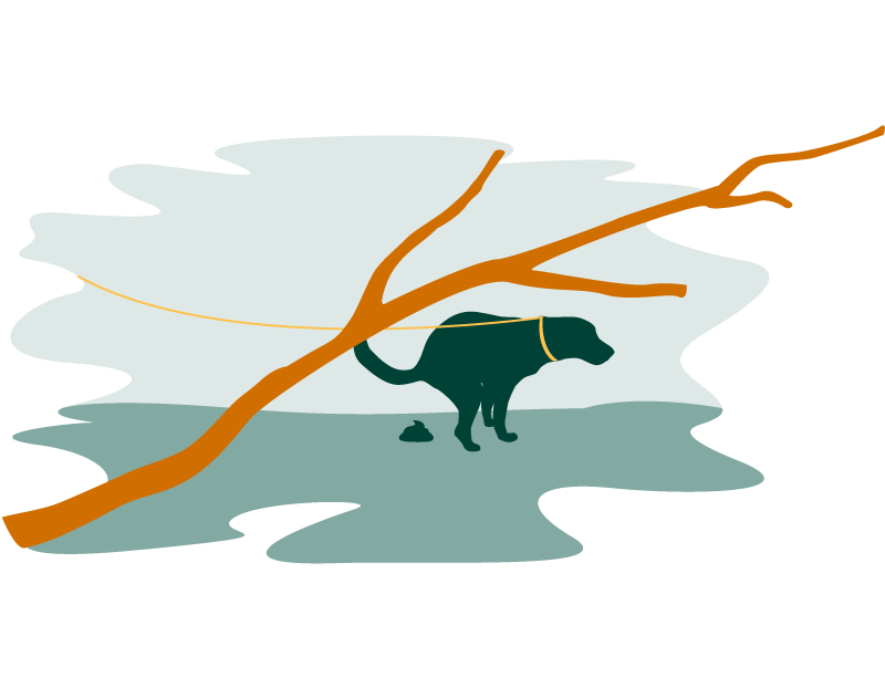 Hinterlassen Sie saubere Wege.