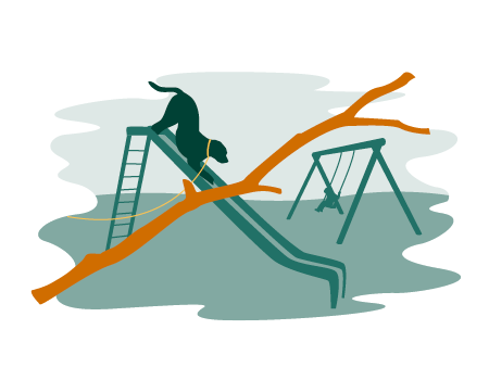 Lassen Sie Ihren Hund nicht auf den Spielplatz.