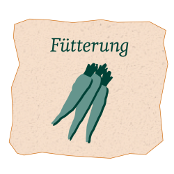 Fütterungsrunde