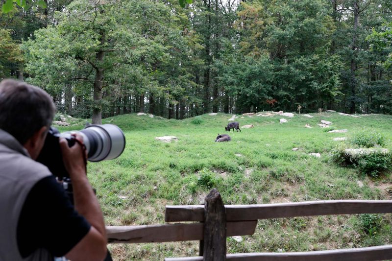 Einer der artenreichsten Wildparks in Europa.