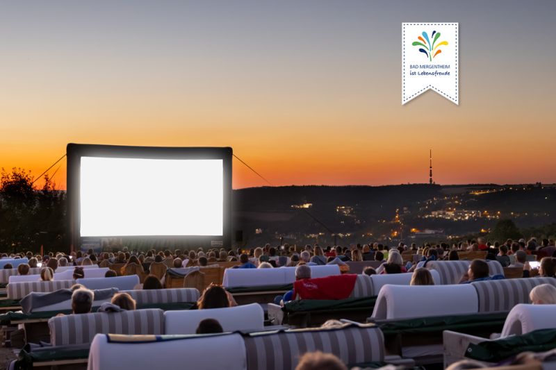 Weiden-Kino auf unserer Hochweide